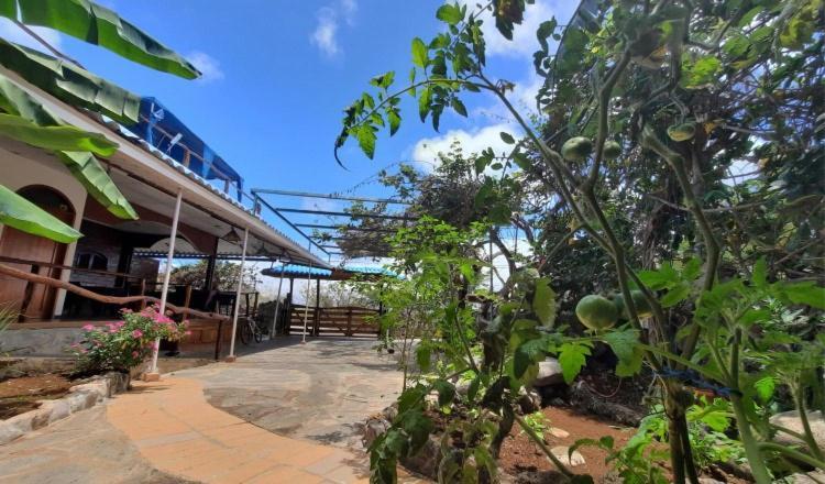 לינה וארוחת בוקר פוארטו בקריסו מורנו Galapagos Casa Playa Mann מראה חיצוני תמונה
